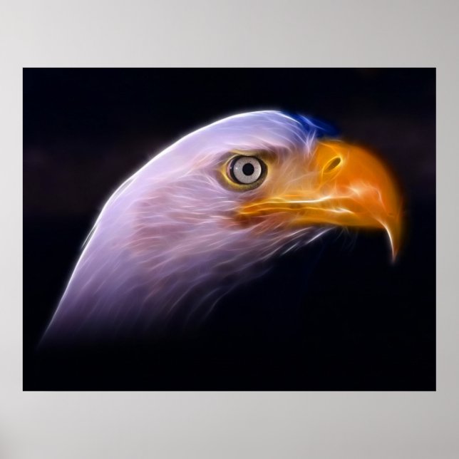 Poster American Patriotic Bald Eagle, Símbolo Nacional (Frente)