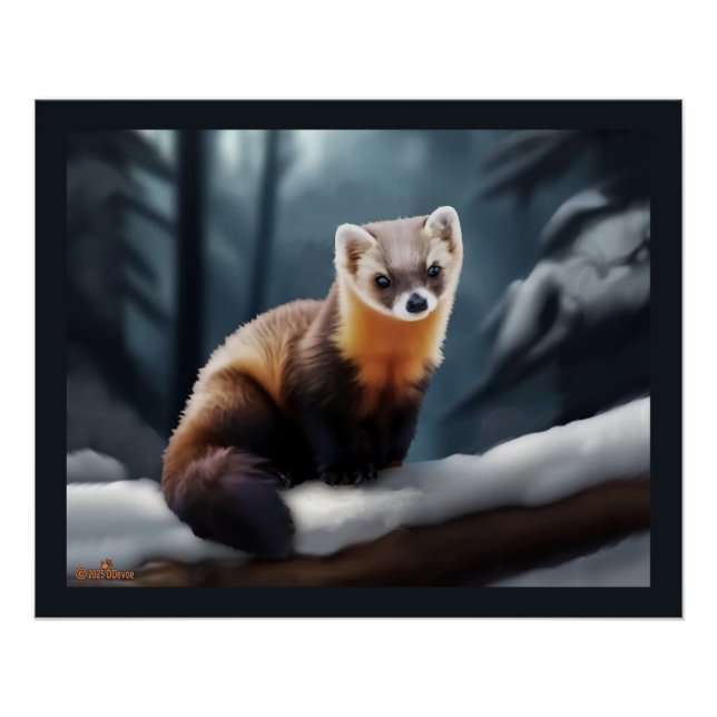 Póster American Pine Marten (Frente)