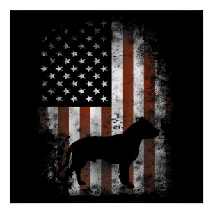 Póster American Pitbull Terrier T-Shirt American Flag Pat