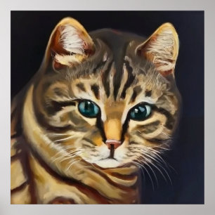 Poster American Shorthair Cat