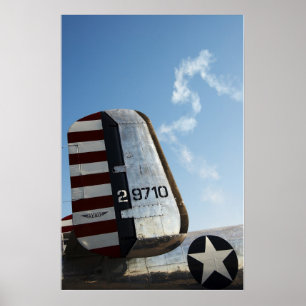 Póster Americana do ar