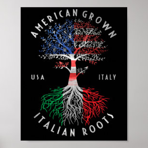 Poster Americano Cultivo Italiano Raízes Itália Bandeir
