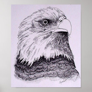 Póster Americano Eagle
