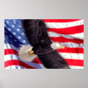 Póster Americano Eagle com bandeira americana