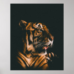 POSTER AMIGO ADULTO DE TIGER PRONE LYING DENTRO DIM ROOM 