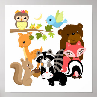 Póster Amigos da Floresta