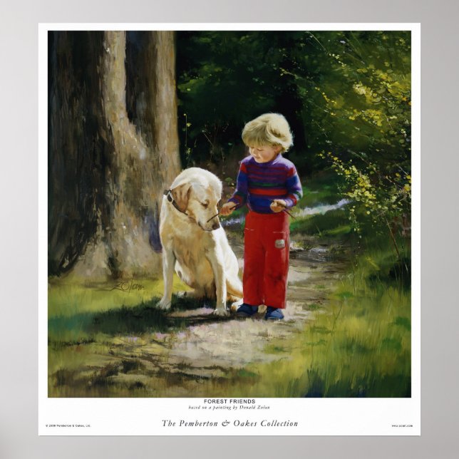 Poster Amigos da Floresta (Frente)