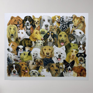 Póster Amigos do cão