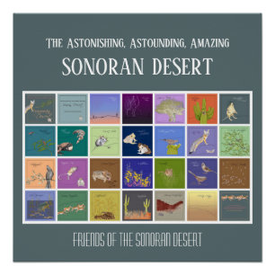 Póster Amigos do Deserto Sonoran