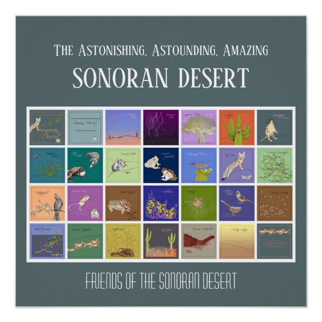 Póster Amigos do Deserto Sonoran (Frente)