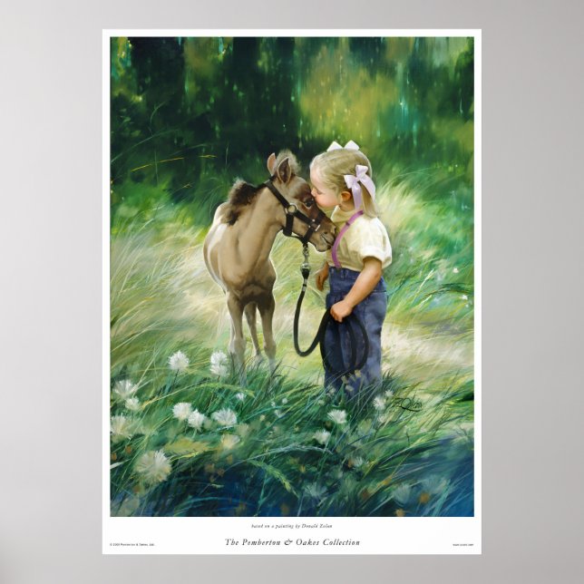 Póster Amigos do País (Frente)