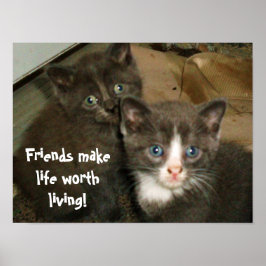 Póster AMIGOS FAZEM COM QUE A VIDA VALE A PENA VIVER post