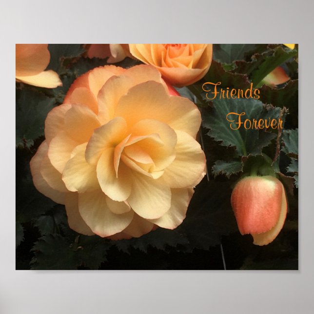 Poster Amigos para sempre (Frente)