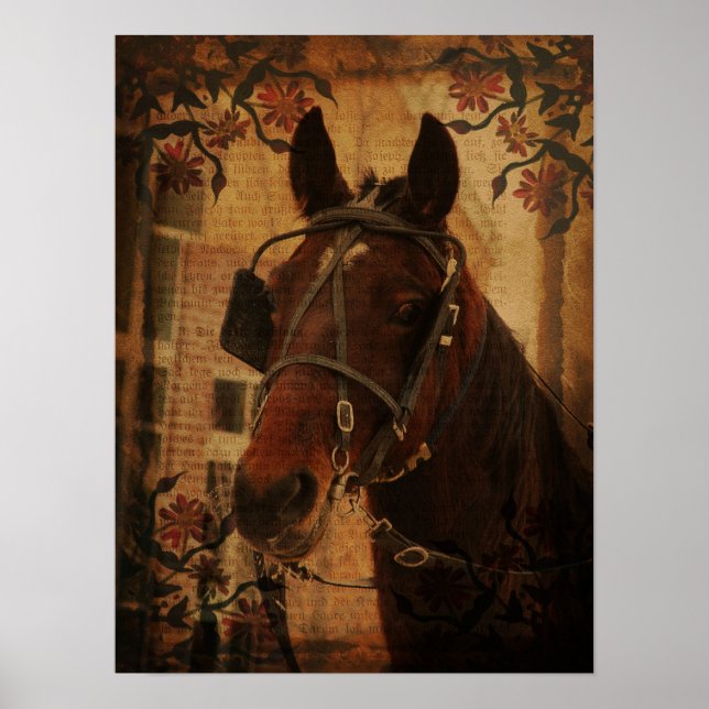 Poster Amish Horse (Frente)