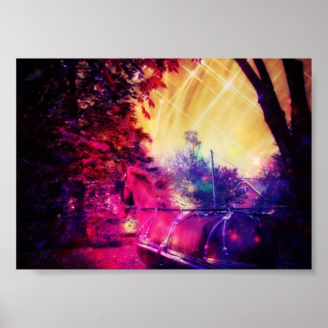 Poster Amish Horse Diverse (Frente)