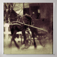 Amish Horse e Buggy