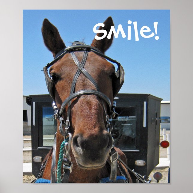 Póster Amish Smile (Frente)