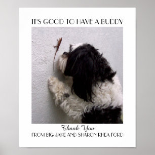 Poster Amizade Amigo com Meu Cão