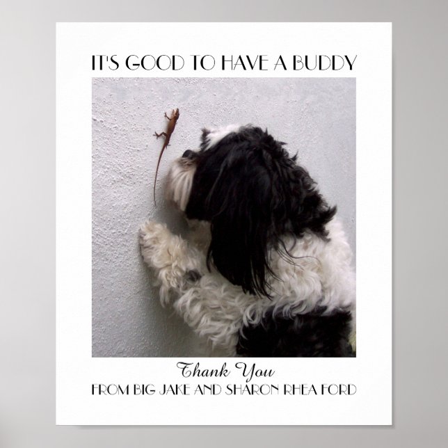 Poster Amizade Amigo com Meu Cão (Frente)