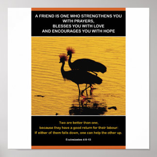 Póster Amizade de ouro