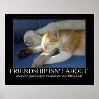 Amizade Gatos Amor Trabalho de arte Inspiração