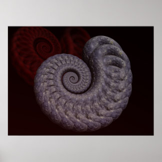 Póster Ammonite Shell