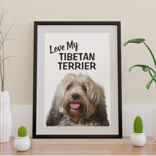 Póster Amo o meu retrato de Tibetan Terrier