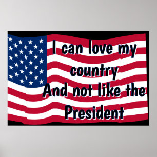 Poster Amo o País, Não o Presidente