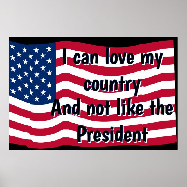 Poster Amo o País, Não o Presidente (Frente)
