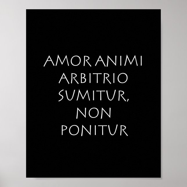 Poster Amor (Frente)