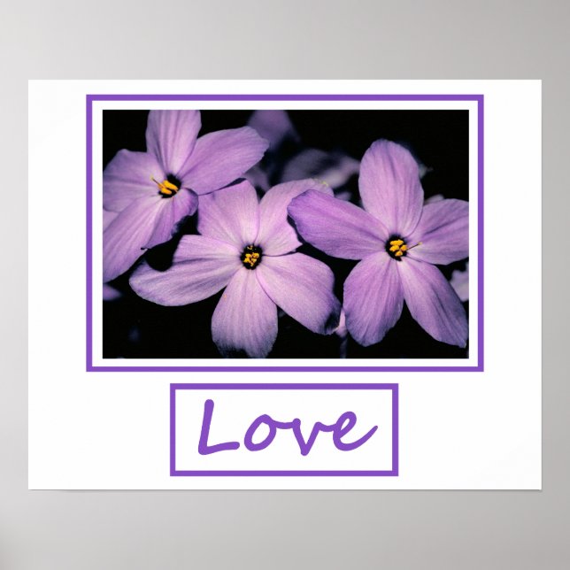 Póster Amor (Frente)