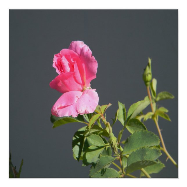 Póster Amor à Hora de Verão... (Frente)