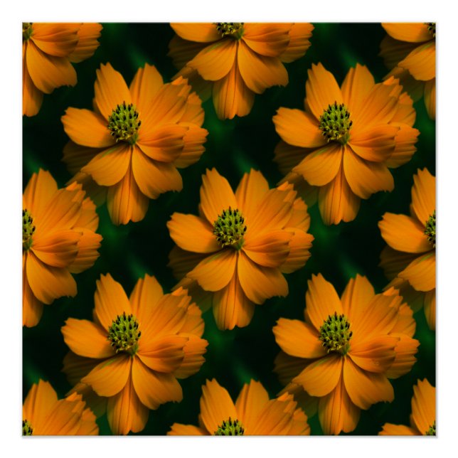 Póster Amor à luz do sol... (Frente)