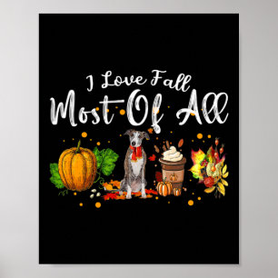 Poster Amor Cai A Maioria De Todos Os Pumpkin Greyhound A