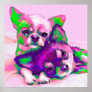 Póster amor da chihuahua