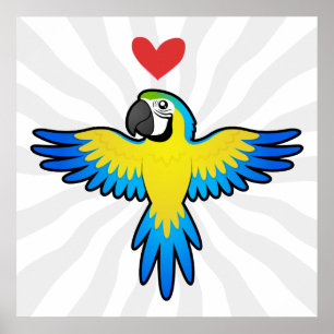 Poster Amor de Arara / Papagaio