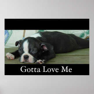 Póster Amor De Boston