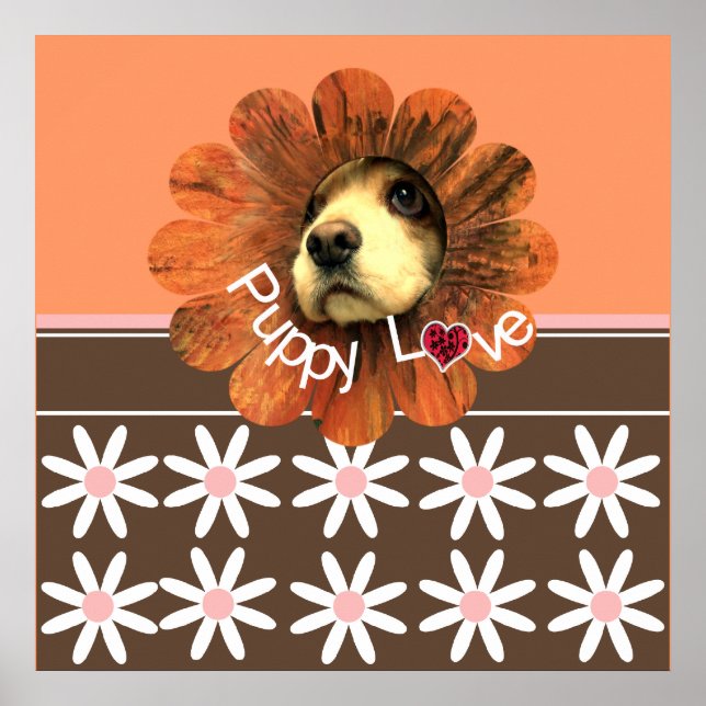 Póster Amor de Cachorrinho (Frente)