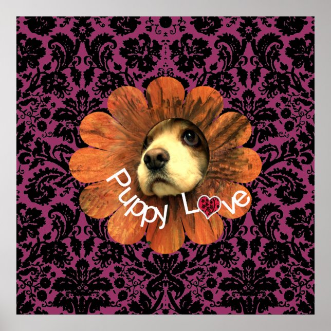 Póster Amor de Cachorrinho (Frente)