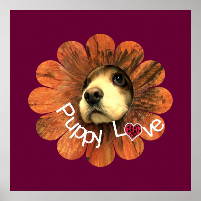 Póster Amor de Cachorrinho (Frente)