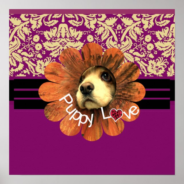 Póster Amor de Cachorrinho (Frente)