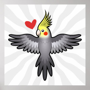 Póster Amor de Calopsita