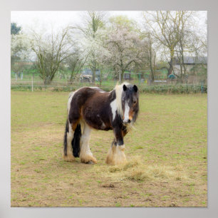 Poster Amor de cavalo - Bonitinho