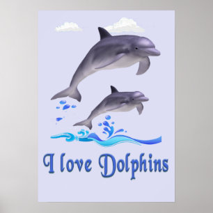 Poster Amor de Golfinho