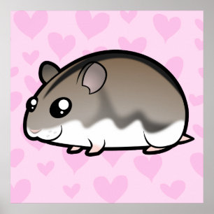 Póster Amor do hamster do anão