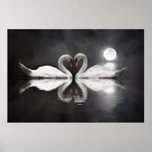Póster Amor do lago swan
