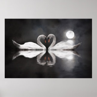 Póster Amor do lago Swan