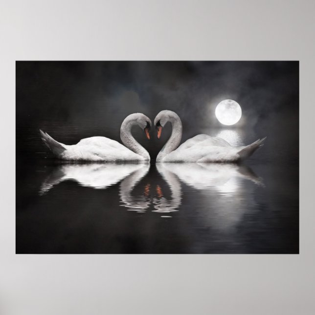 Póster Amor do lago Swan (Frente)