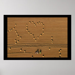 Poster Amor do verão