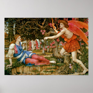 Poster Amor e a donzela